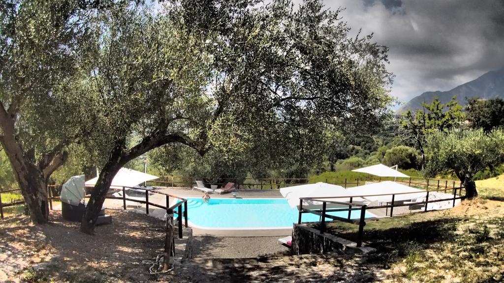 Tenuta Terre Di Bosco Oasi Di Relax Nel Cilento サン・ジョヴァンニ・ア・ピーロ エクステリア 写真