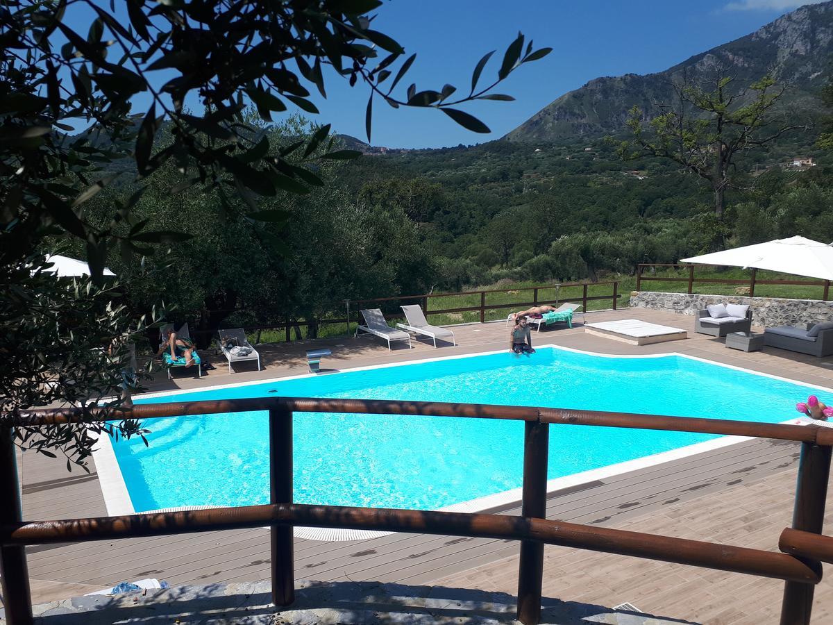 Tenuta Terre Di Bosco Oasi Di Relax Nel Cilento サン・ジョヴァンニ・ア・ピーロ エクステリア 写真